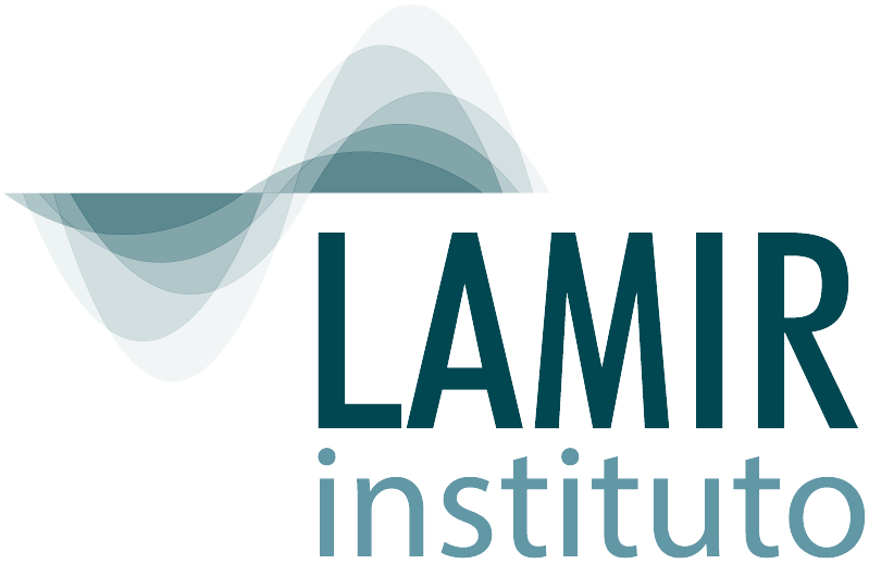 Logo LAMIR